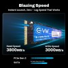 EVM 2TB NVMe Gen 3x4 Internal SSD (2280) – Upto 3800MB/s Read & 3000MB/s Write | PCIe 3.0 M.2 Solid State Drive for Gaming, Laptops & Desktops | Shock Resistant & 5-Year Warranty (EVMNV/2TB)