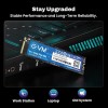 EVM 2TB NVMe Gen 3x4 Internal SSD (2280) – Upto 3800MB/s Read & 3000MB/s Write | PCIe 3.0 M.2 Solid State Drive for Gaming, Laptops & Desktops | Shock Resistant & 5-Year Warranty (EVMNV/2TB)