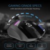 EvoFox Blaze Ultra Value 8 Button Programmable Gaming Mouse with 1000Hz Polling Rate | Gaming Grade DPI 200 to 12800 | Ultra-Responsive 7000fps | RGB Lights with Music sync Mode | Windows Software EvoFox Blaze Ultra Value 8 Button Programmable Gaming Mouse with 1000Hz Polling Rate | Gaming Grade DPI 200 to 12800 | Ultra-Responsive 7000fps | RGB Lights with Music sync Mode | Windows Software