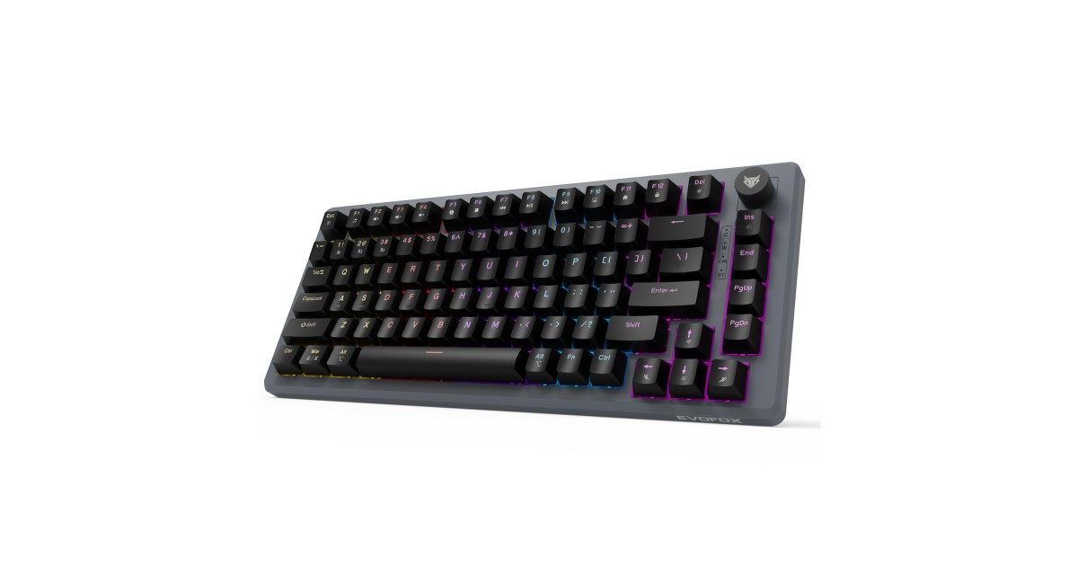 EvoFox Katana X2 TKL Wireless Mechanical Gaming Keyboard – Tri