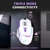 EvoFox Performance Series Banshee Rechargeable Wireless Gaming Mouse (2.4G+BT+Wired), Hyper Connect-Pixart3325 Sensor, Upto 1000Hz Polling Rate & 10000DPI,8 Programmable Buttons,Comprehensive Software EvoFox Performance Series Banshee Rechargeable Wireless Gaming Mouse (2.4G+BT+Wired), Hyper Connect-Pixart3325 Sensor, Upto 1000Hz Polling Rate & 10000DPI,8 Programmable Buttons,Comprehensive Software