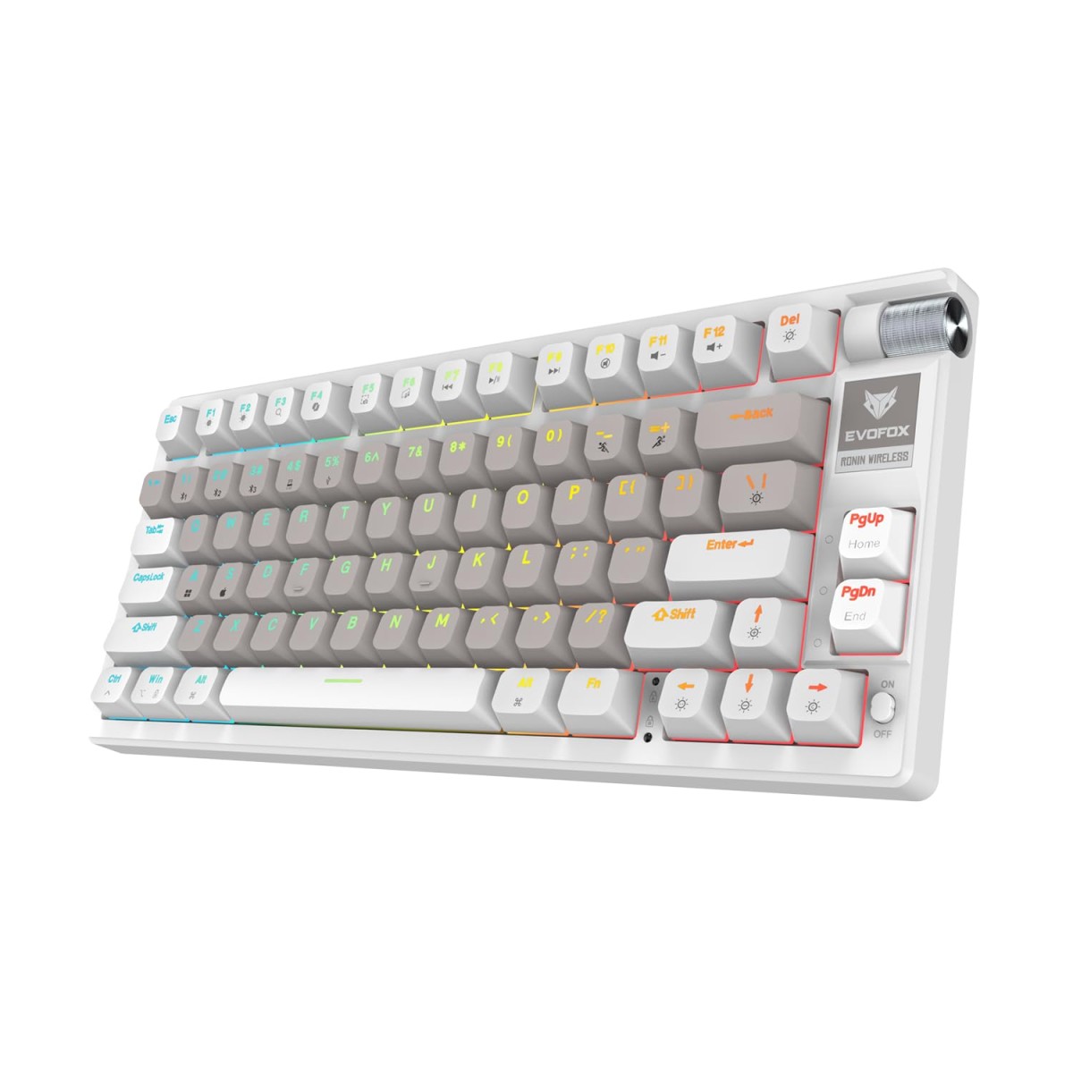 EvoFox Ronin Wireless Mechanical Keyboard (BT+2.4GHz+Wired) | 9 Layer Gasket Structure, Outemu Red Switches, Per-Key RGB, 1000Hz, nKey Rollover, Volume Controller | Windows Software (White) EvoFox Ronin Wireless Mechanical Keyboard (BT+2.4GHz+Wired) | 9 Layer Gasket Structure, Outemu Red Switches, Per-Key RGB, 1000Hz, nKey Rollover, Volume Controller | Windows Software (White)