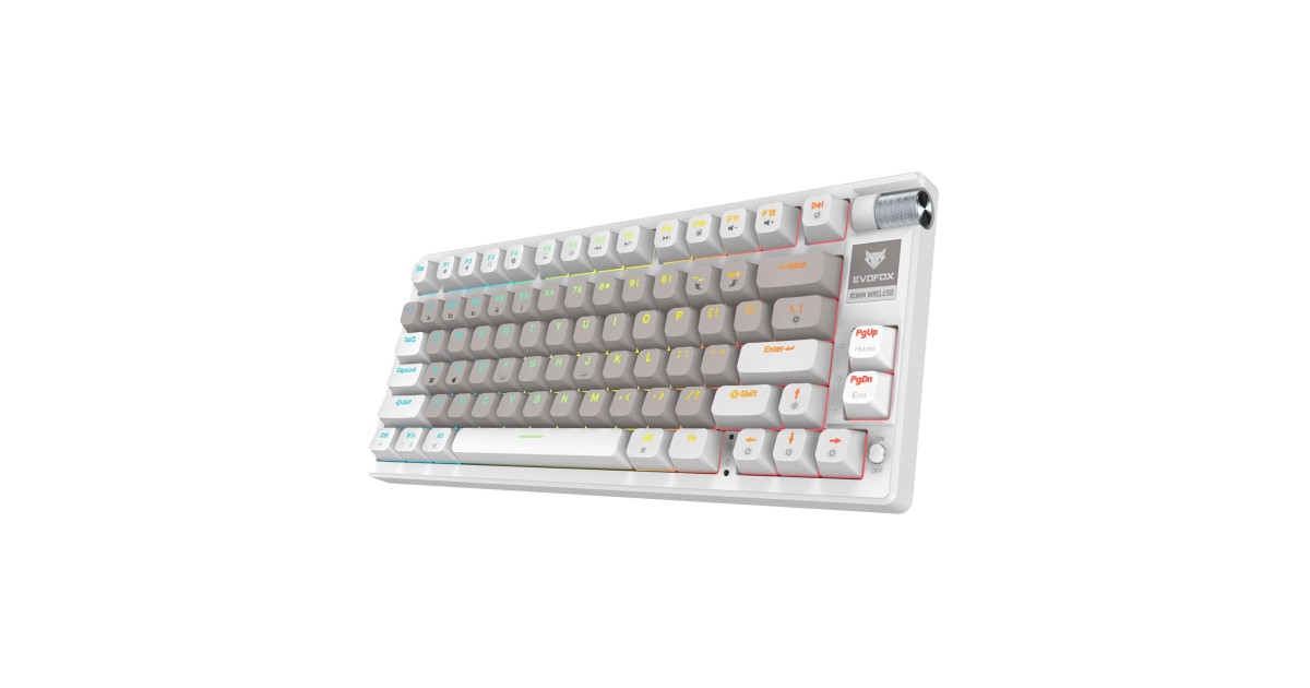 EvoFox Ronin Wireless Mechanical Keyboard (BT+2.4GHz+Wired) | 9 Layer ...
