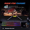 EvoFox Warhammer Full Size Gaming Keyboard with Breathing Effect LED Backlit (Black)