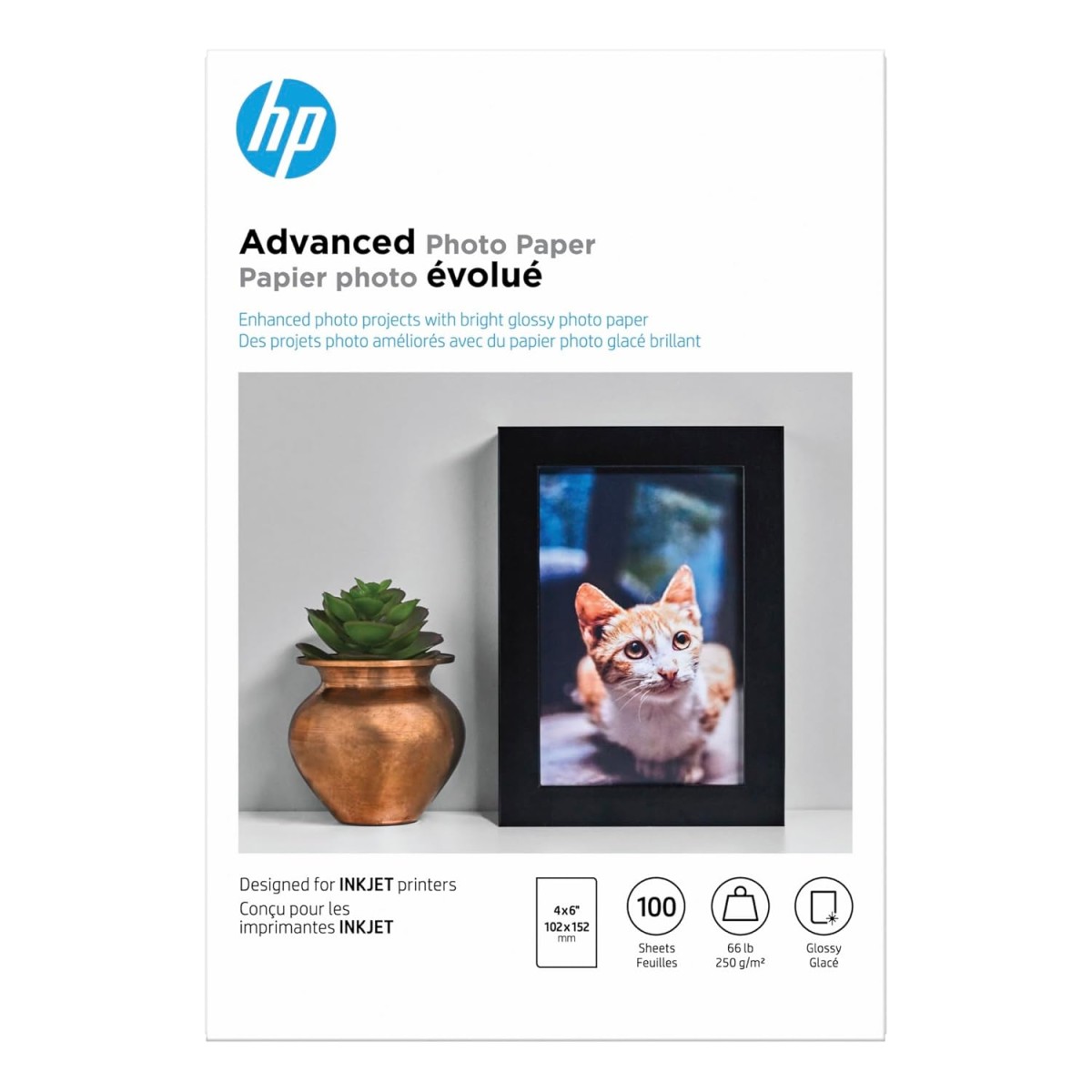 HP Advanced Photo Paper Glossy (100 Sheets 4 x 6 Inches borderless)