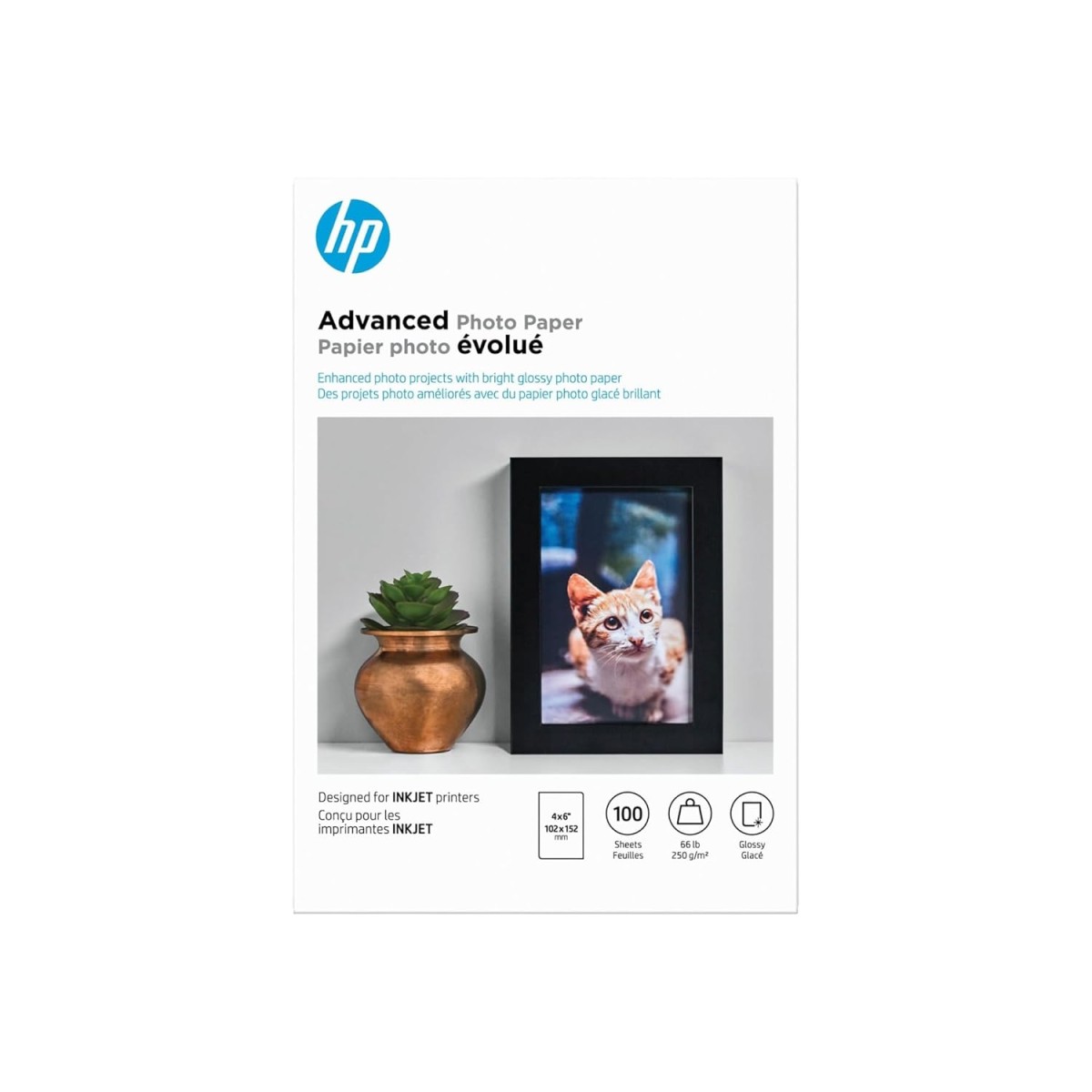 HP Advanced Photo Paper Glossy (100 Sheets 4 x 6 Inches borderless)