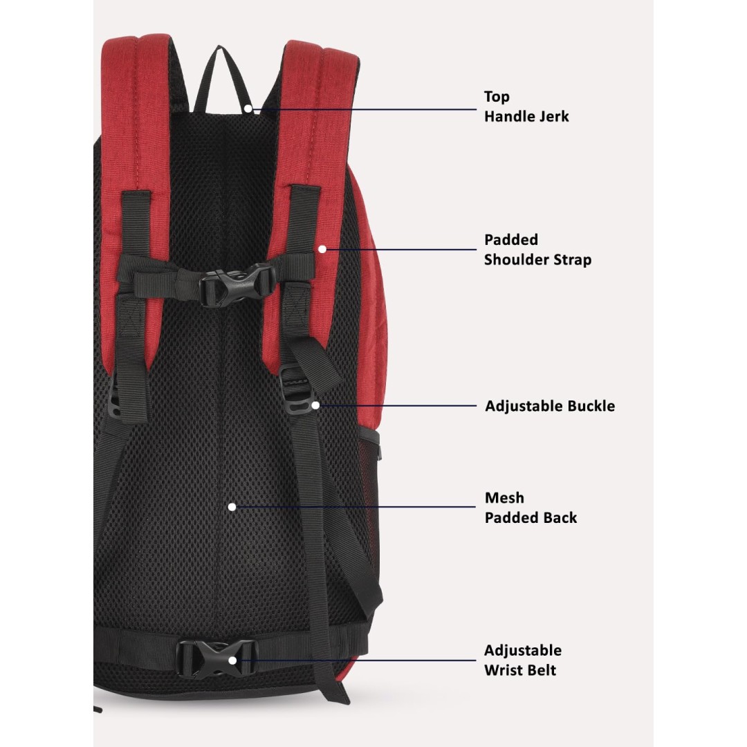 Lavie Sport Ledge Casual Backpack | Premium Backpack For Men & Women's,22 L,Red