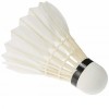 Li-Ning A2 Badminton Shuttlecock (Pack of 10)