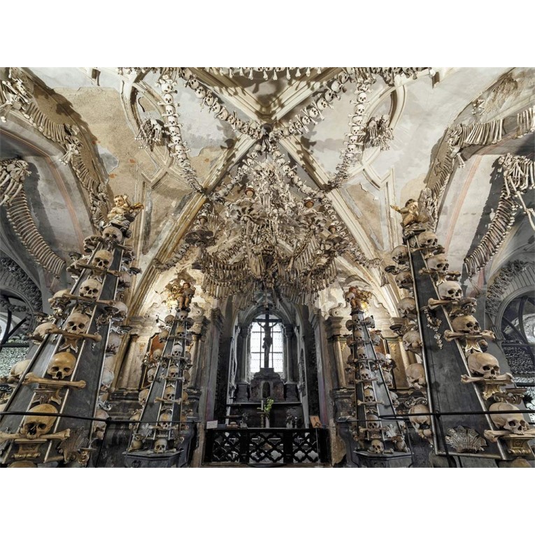 Memento Mori: The Dead Among Us Memento Mori: The Dead Among Us