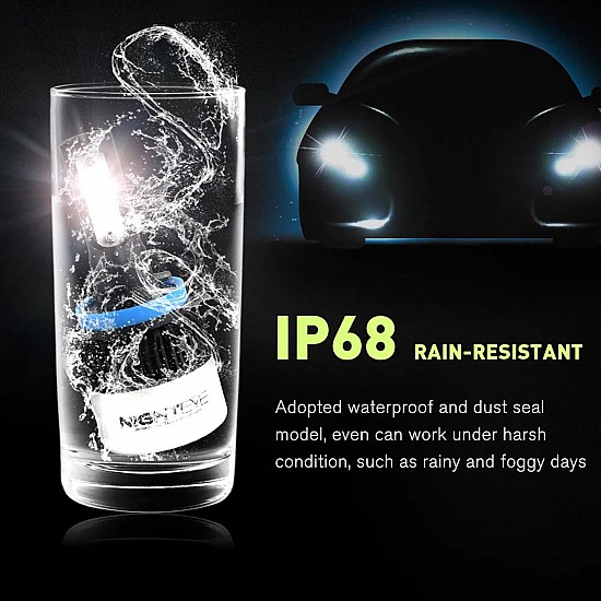 Airtree H7 Geniune 9000LM 6500K 72 W LED Automotive Headlight Bulbs Auto Conversion Driving Lamp 2 Led Chip (Cool White)