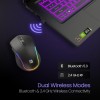Portronics Toad One Bluetooth Mouse with 2.4 GHz & BT 5.3 Dual Wireless, 6 Buttons, Rechargeable Black