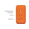 Saregama Carvaan Mini Hanuman - Music Player with Bluetooth/FM/AM/AUX (Devotional Orange)