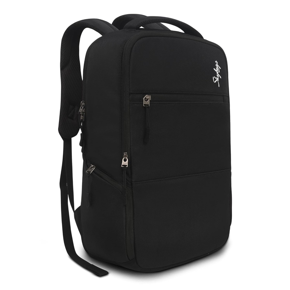 Skybags BIZ 17 L 2 Compartment Laptop Backpack (E) Black