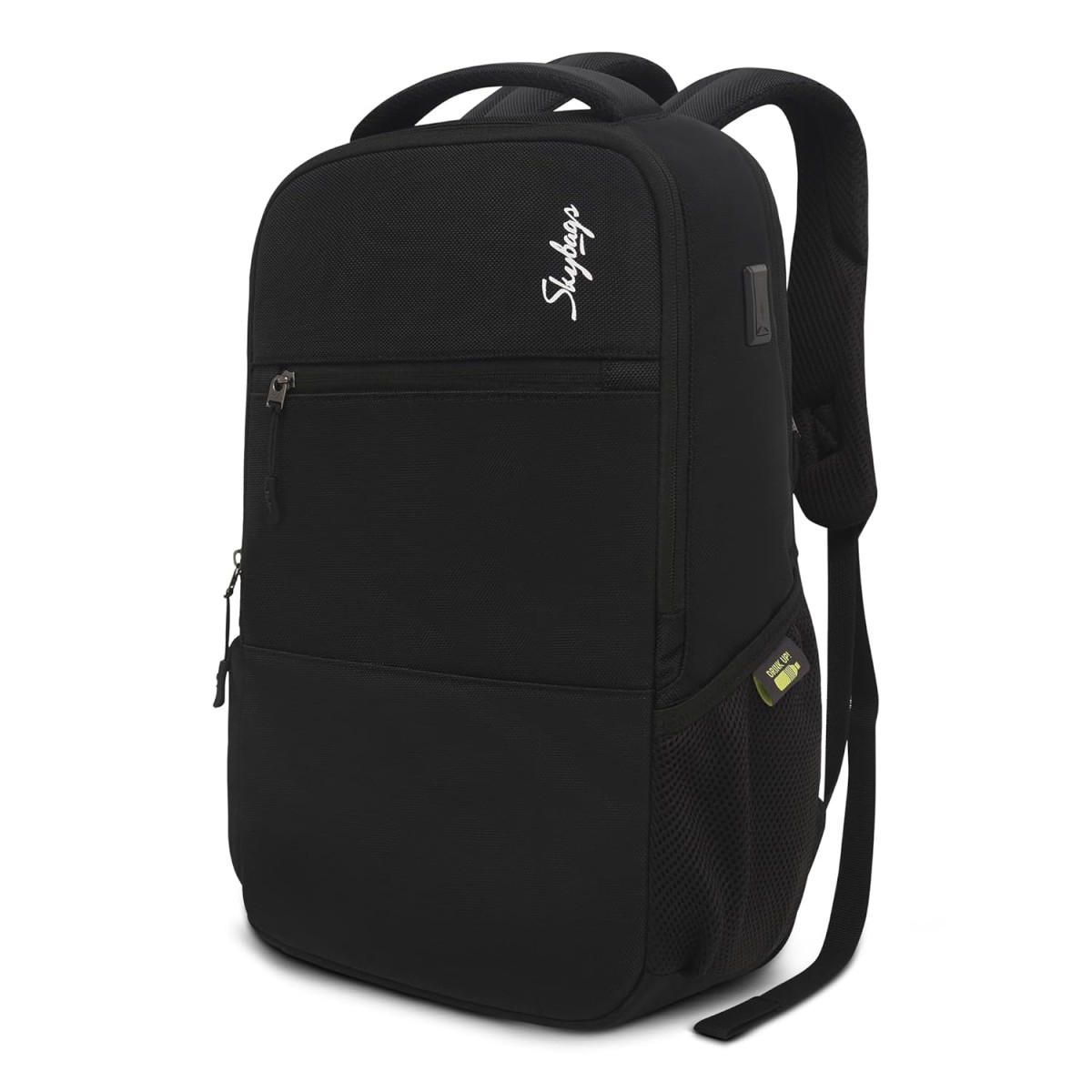 Skybags BIZ 17 L 2 Compartment Laptop Backpack (E) Black