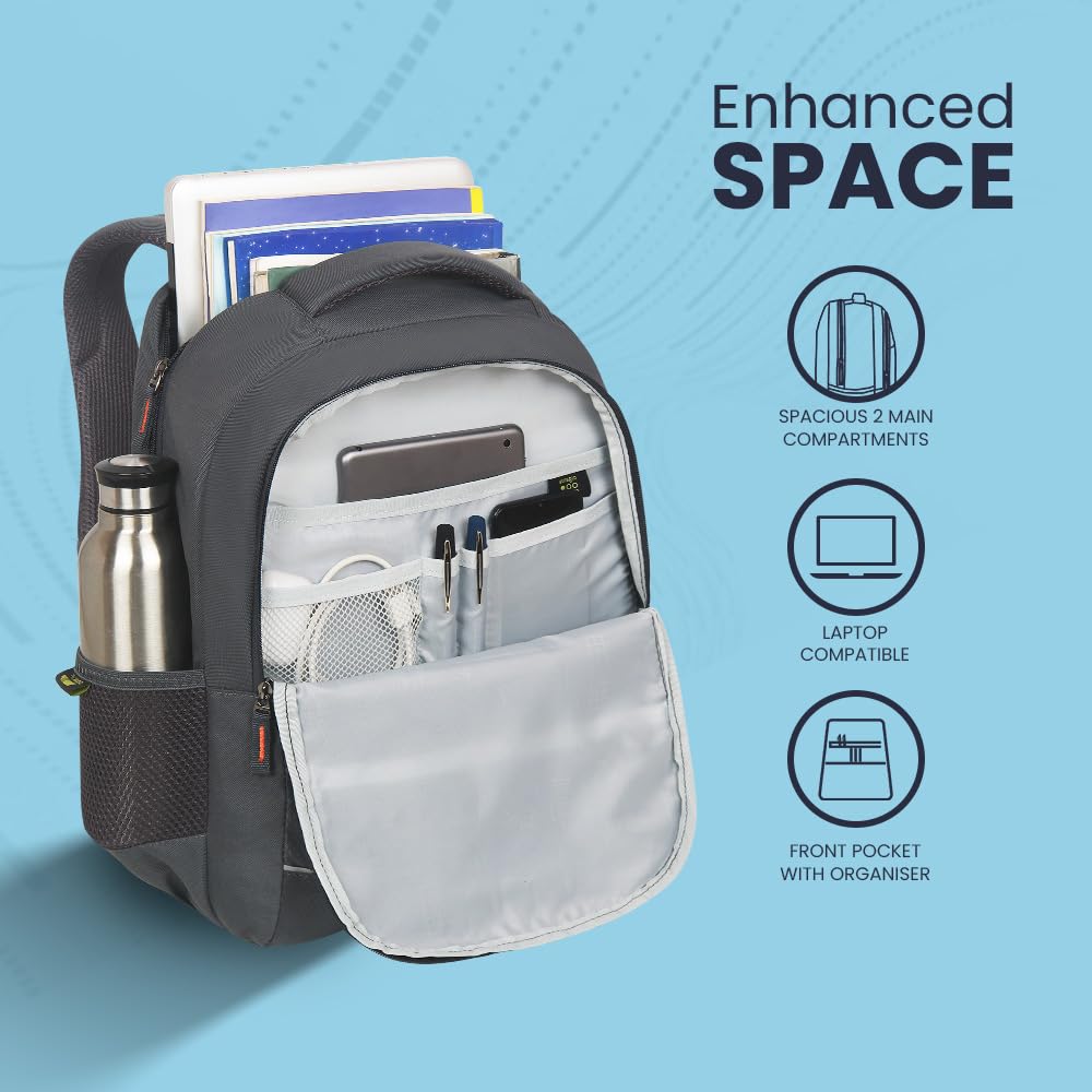 Skybags IKON 02 College Backpack (E) Grey Backpack (Grey, OneSize)