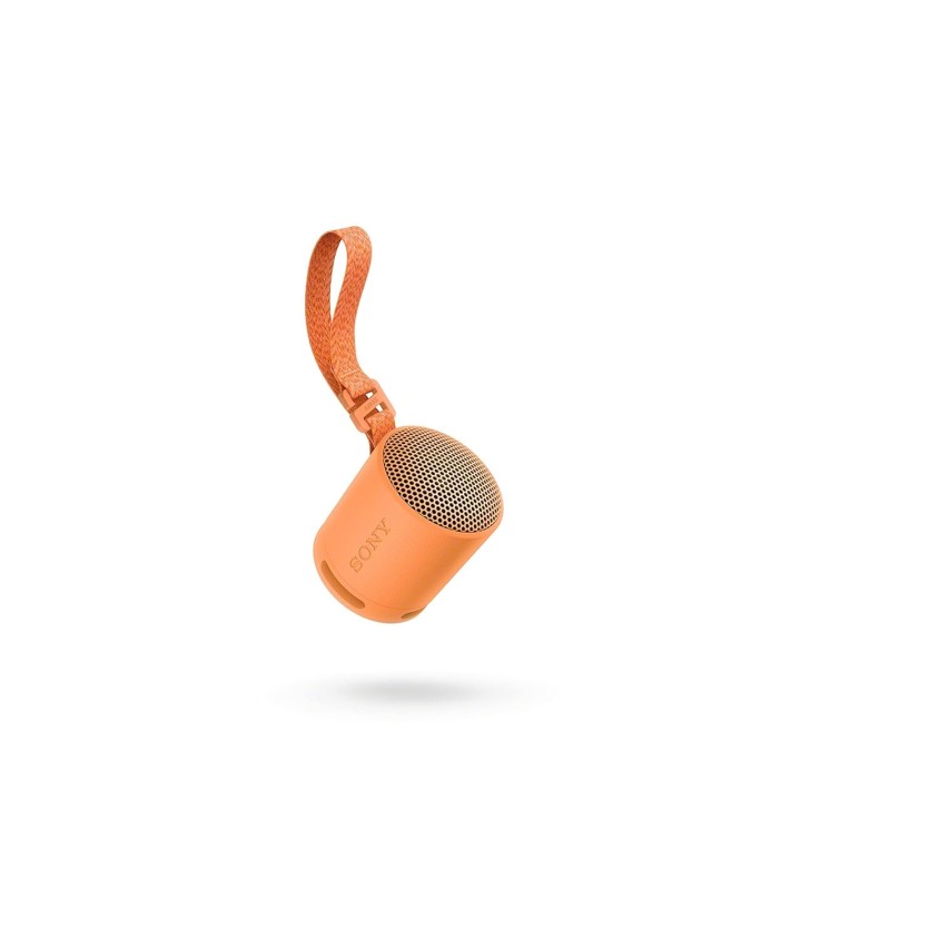 Sony SRS-XB100 Wireless Bluetooth Portable Lightweight Super-Compact Travel Speaker, Extra-Durable IP67 Waterproof & Dustproof, 16 Hrs Batt, Versatile Strap, Extra Bass & Hands-Free Calling-Blue