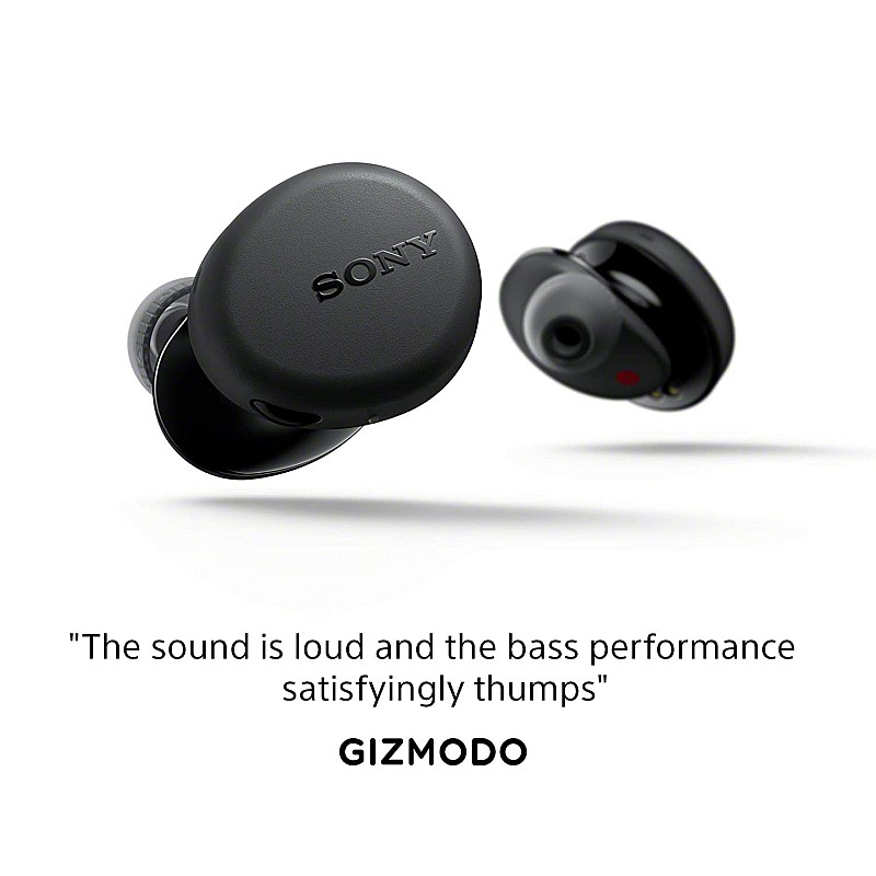 Sony WF-XB700 Truly Wireless Extra Bass Bluetooth Earbuds with 18 Hours Battery Life, True Wireless Earbuds with Mic