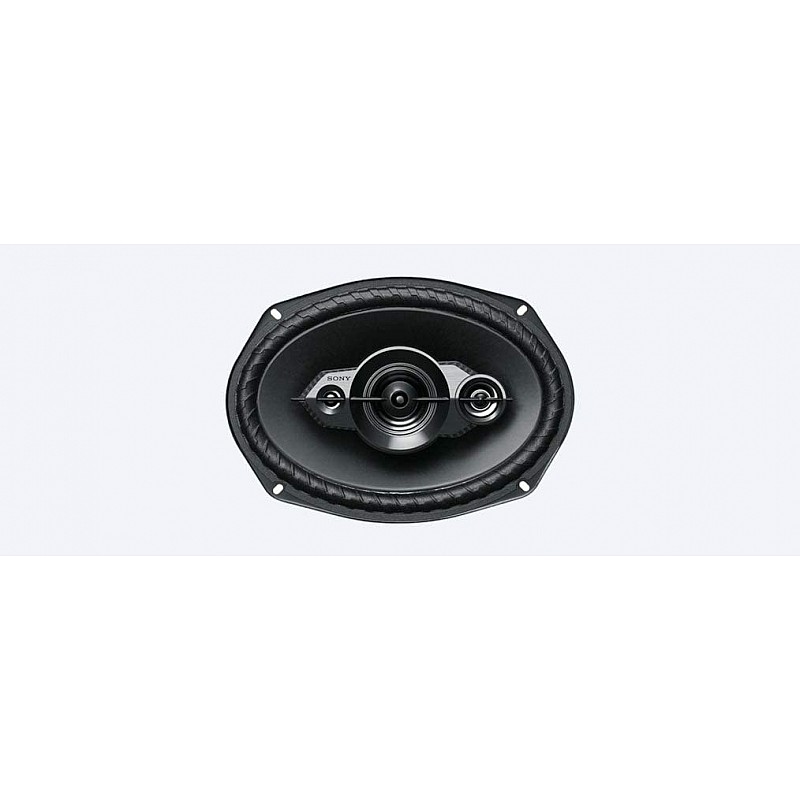 Sony XS-XB6941 650 Watt Portable Speaker (Black)