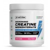 Wellcore - Pure Micronised Creatine Monohydrate (Fruit Fusion, 33 Servings) | Rapid Absorption | Enhanced Muscle strength & Power, Powder