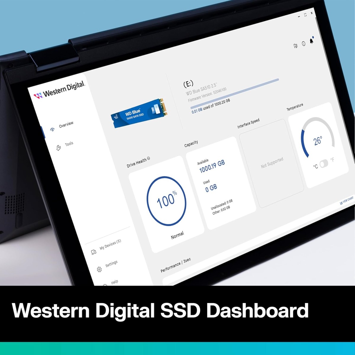 Western Digital WD Blue SA510 M.2 1TB, Up to 560MB/s, 2.5 Inch/7 mm, 5Y Warranty, Internal Solid State Drive (SSD) (WDS100T3B0B)