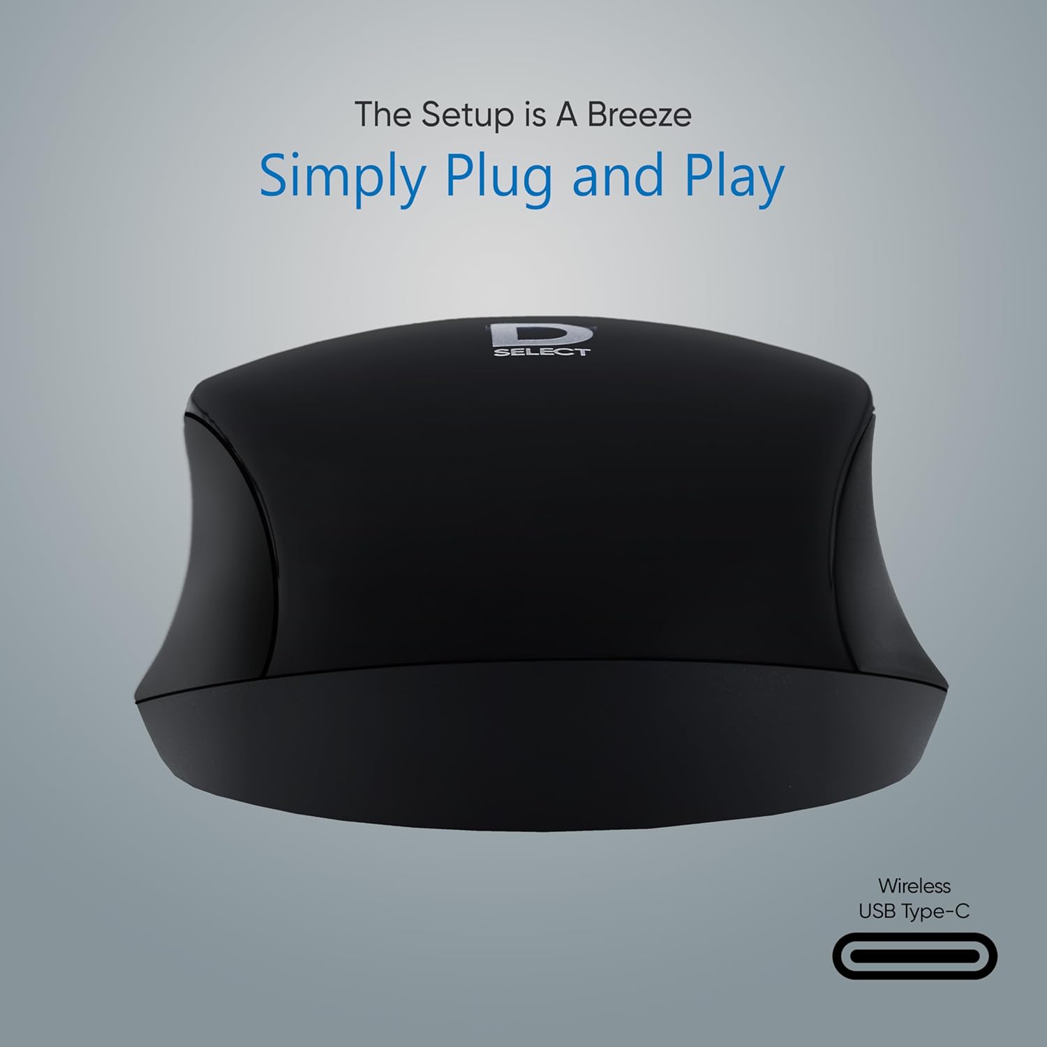 Wireless Mouse DS321-Black with USB Type C Connector, 1200DPi ...