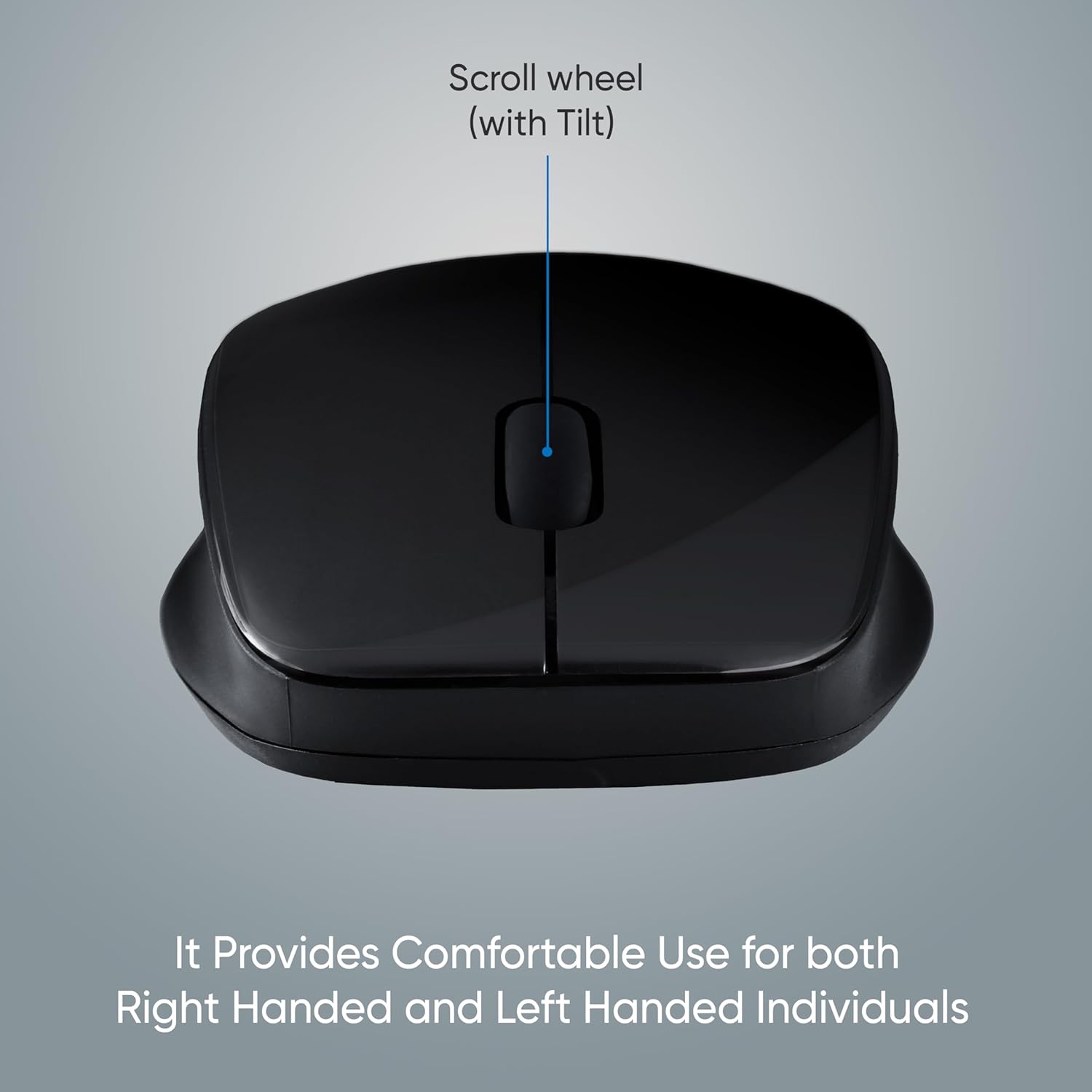 Wireless Mouse DS321-Black with USB Type C Connector, 1200DPi ...