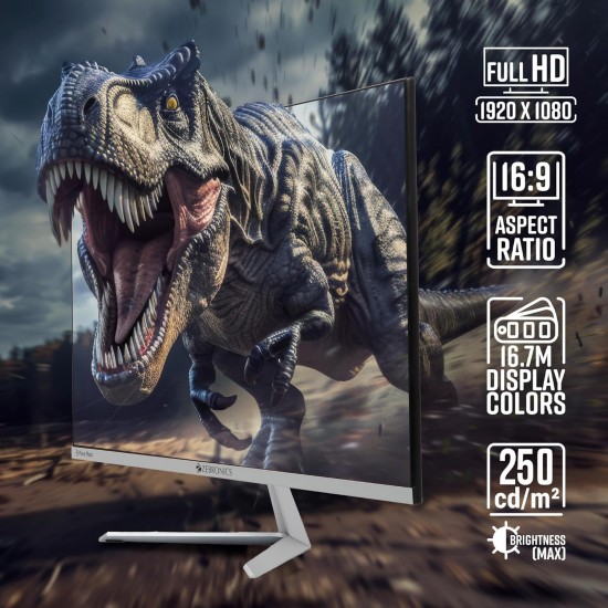 ZEBRONICS A24FHD LED Monitor, 24 inch (60.96cm), 250 nits, 100Hz, Slim Design, FHD, 1080p, Wall Mountable, HDMI, VGA, Ultra Slim Bezel, Metal stand, Built-in Speakers