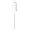 Apple EarPods with Lightning Connector