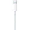Apple EarPods with Lightning Connector Apple EarPods with Lightning Connector