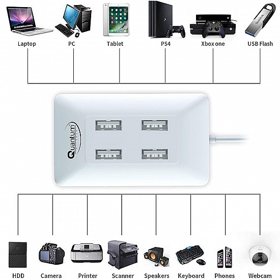 Quantum QHM6633 4-Port Hi-Speed USB Hub with 480 Mbps Speed (Multicolor)