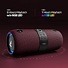 boAt Stone 1200 14W Bluetooth Speaker with Upto 9 Hours Battery, RGB LEDs, IPX7 and TWS Feature(Maroon)