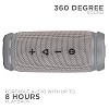 boAt Stone SpinX 12 Watt 2.0 Channel Bluetooth Speaker with Upto 8 Hours Battery Granite Grey