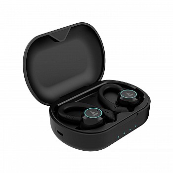 boAt Airdopes 421 Truly Wireless Bluetooth in Ear Earbuds with Mic (Active Black)