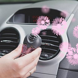 Air Freshener