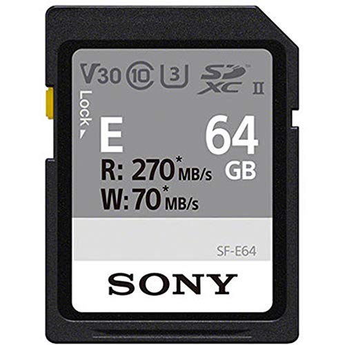 Sony SF-E64 Hi- Speed Memory Card SF-E64/T1 IN