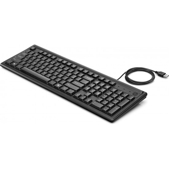 HP 100 Wired USB Keyboard ~