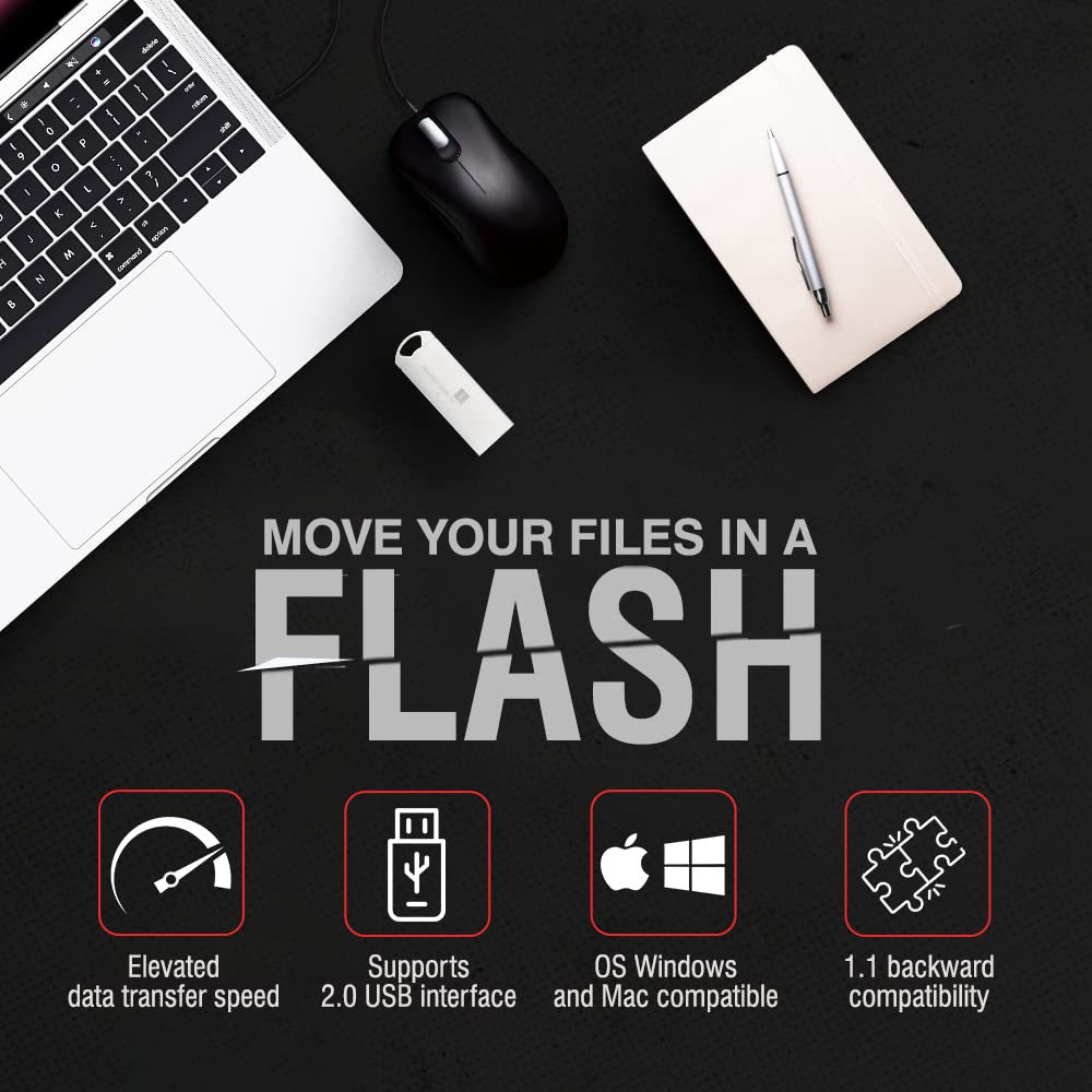 iBall Pendant 32 GB USB 2.0 Flash Drive OS Compatibility with Windows and Mac (Silver)