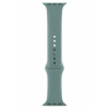 Apple Watch Sport Band (44mm) - Cactus - Regular