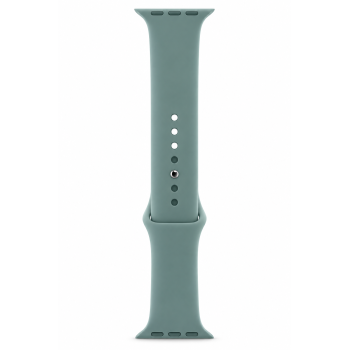 Apple Watch Sport Band (44mm) - Cactus - Regular