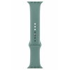 Apple Watch Sport Band (44mm) - Cactus - Regular