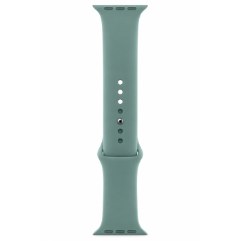 Apple Watch Sport Band (44mm) - Cactus - Regular