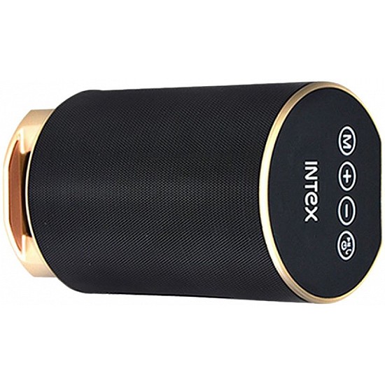 Intex Bluetooth Speaker Premium Gold Beats-