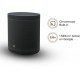 Mi Smart Speaker (Google assistant) and Mi Smart color bulb combo Pack  (Black)