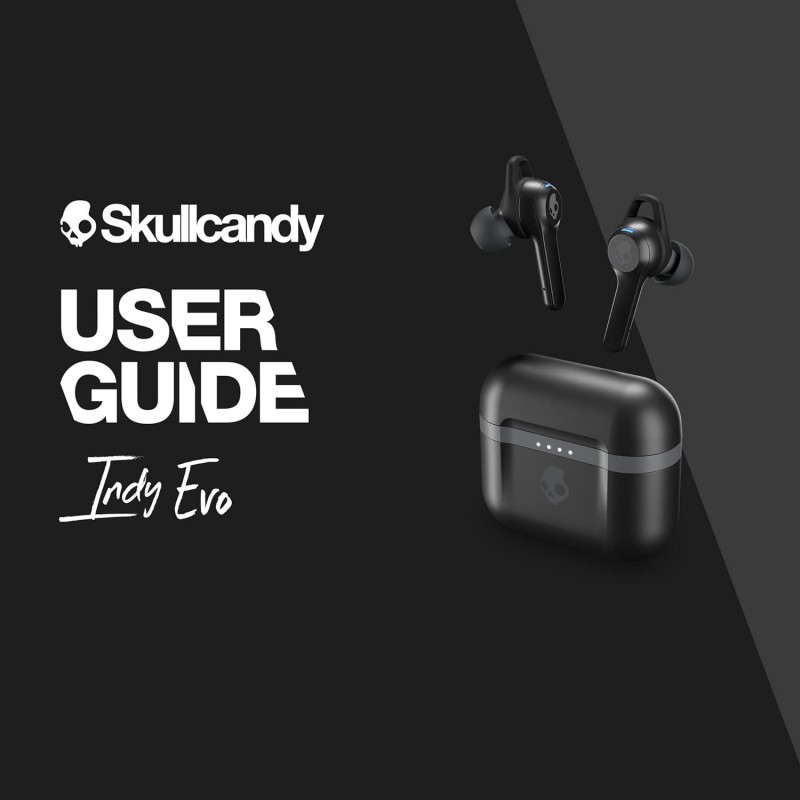 Skullcandy Indy Evo Truly Wireless Bluetooth in Ear Earbuds with Mic (Black)-