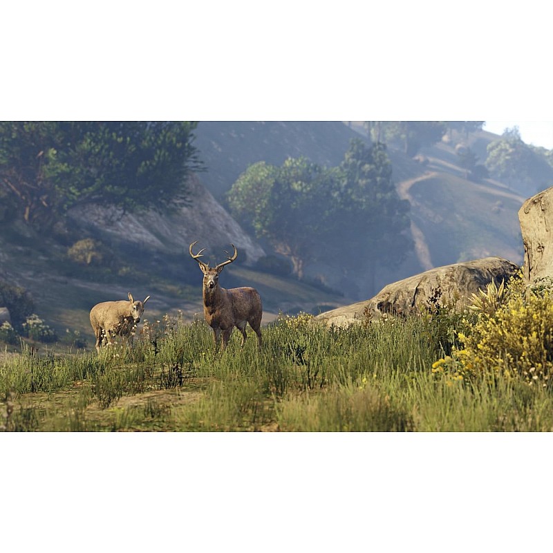 Rockstar Grand Theft Auto V (PS4)