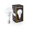 Bajaj LEDZ 12W Rechargeable Emergency Inverter LED Bulb | Cool Day Light | Upto 4 Hours Battery | B22D | 1 Year - Warranty (Pack of 1, White) Bajaj LEDZ 12W Rechargeable Emergency Inverter LED Bulb | Cool Day Light | Upto 4 Hours Battery | B22D | 1 Year - Warranty (Pack of 1, White)