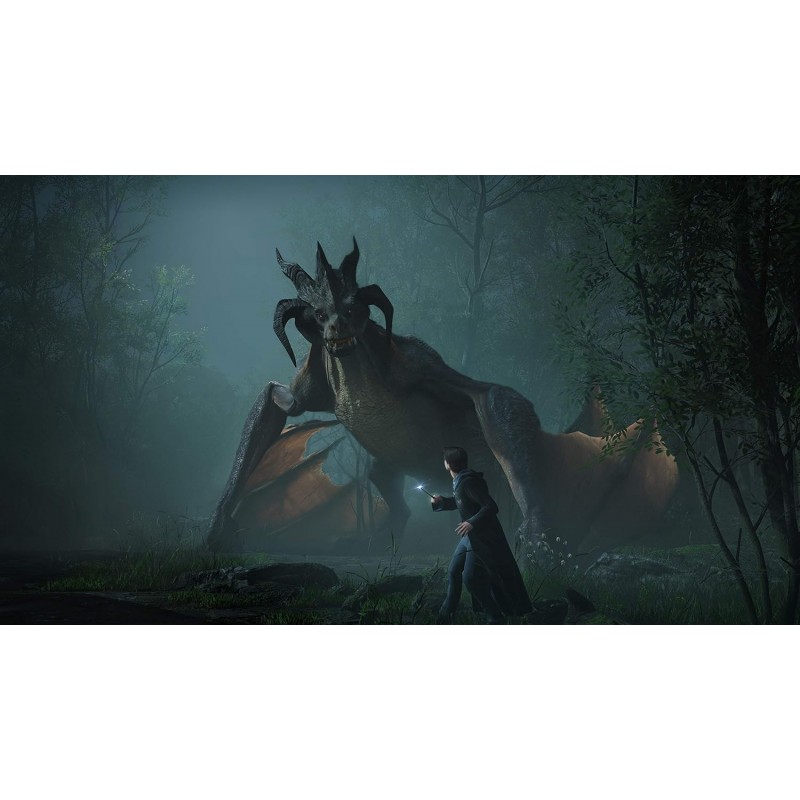 Freeluck WB Games Hogwarts Legacy | Standard Edition| Playstation 5 (Ps5) Freeluck WB Games Hogwarts Legacy | Standard Edition| Playstation 5 (Ps5)