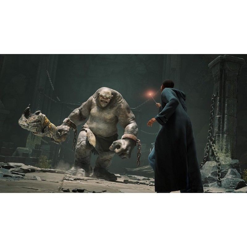 Freeluck WB Games Hogwarts Legacy | Standard Edition| Playstation 5 (Ps5) Freeluck WB Games Hogwarts Legacy | Standard Edition| Playstation 5 (Ps5)