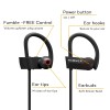 Hammer Zest-H Wireless Sports Earphones Black