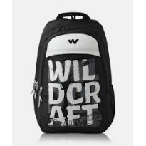 35.5 L Laptop Backpack Valour  (Black, White)